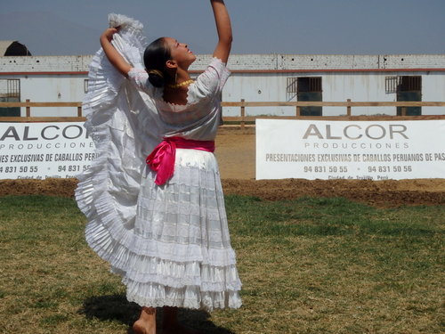 Peruvian Step Horse Show.